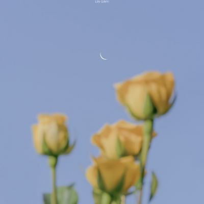 翻滚吧筋斗云试玩版下载