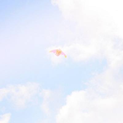 花样男子f4与初吻手游下载
